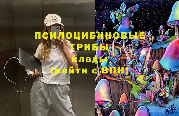 твердый Белокуриха