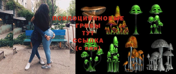 твердый Белокуриха