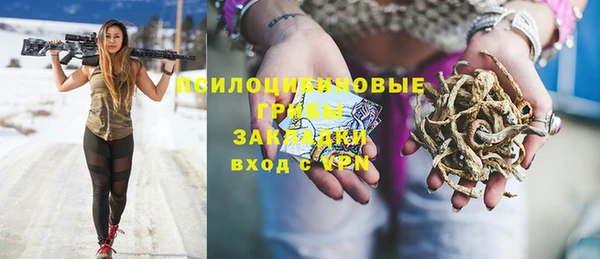 твердый Белокуриха