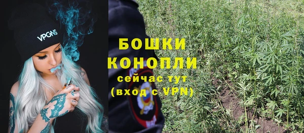 твердый Белокуриха
